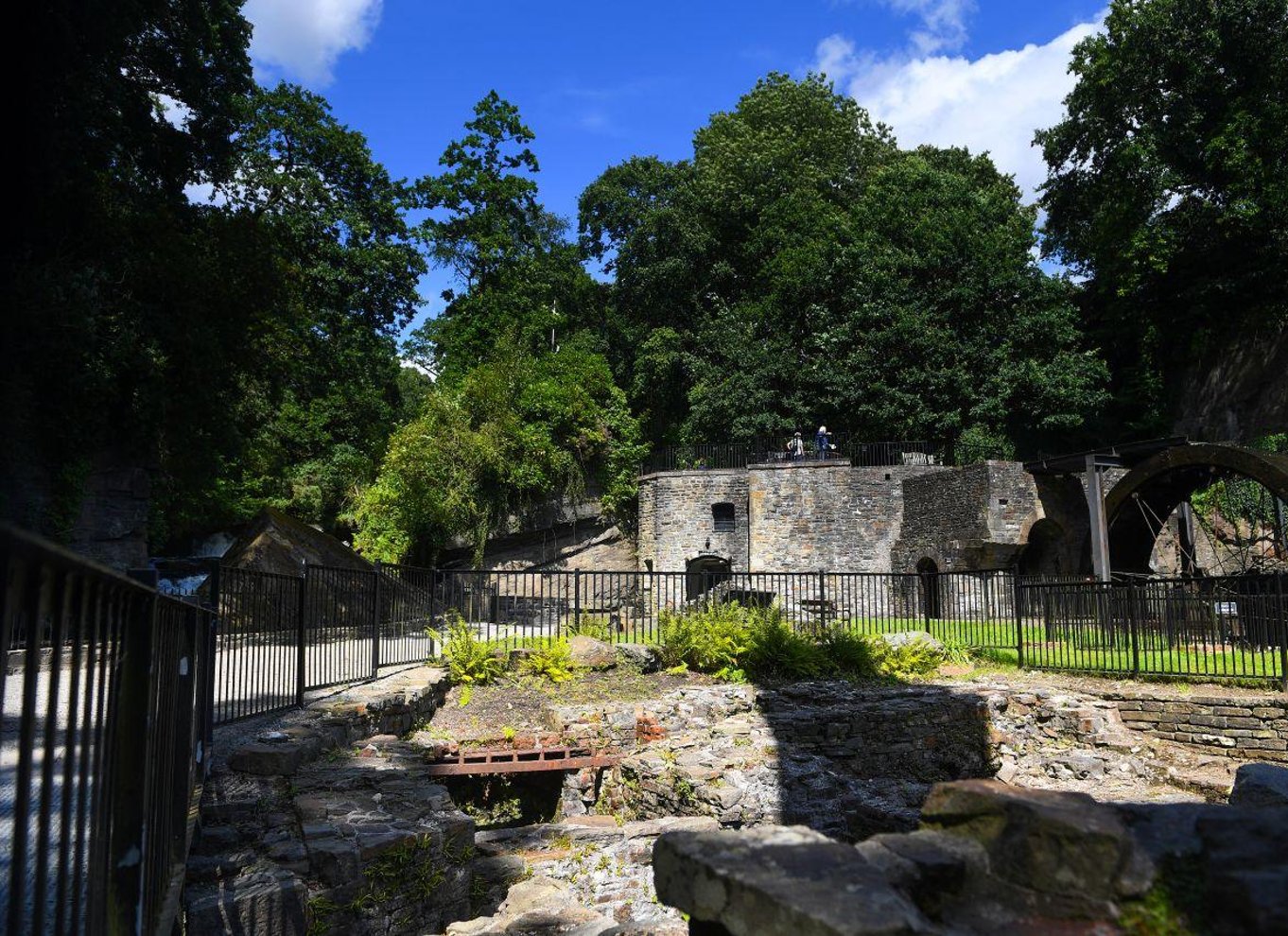 Fra Cardiff: Guidet tur til vandfald i South Wales