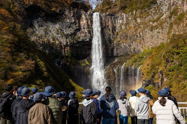 Nikko mit Stil: Luxuriöse Mercedes Tour