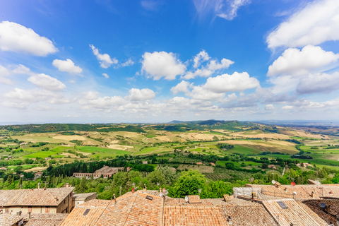 From Rome: Highlights of Tuscany Day Trip with Lunch &amp; Wines