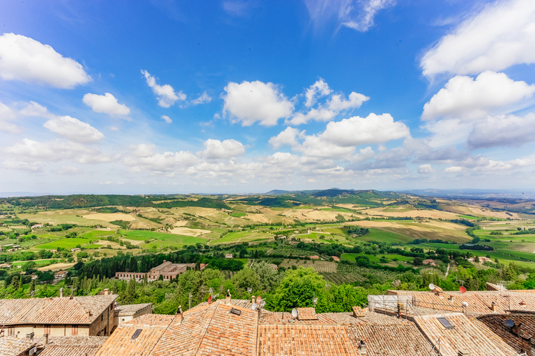 From Rome: Highlights of Tuscany Day Trip with Lunch & Wines