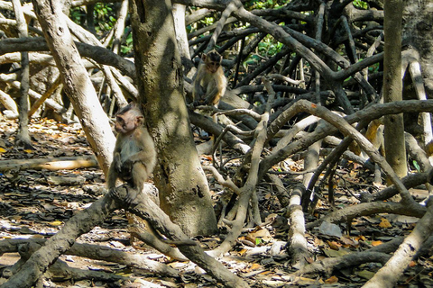 Från Ho Chi Minh-staden: Utflykt till Monkey Island med båtGruppresa (max 15 personer/grupp)