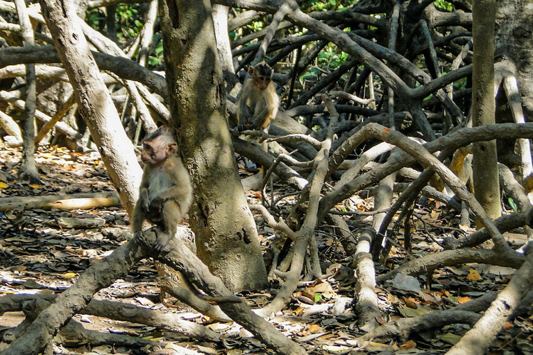 From Ho Chi Minh City: Monkey Island Excursion by Boat Private Tour