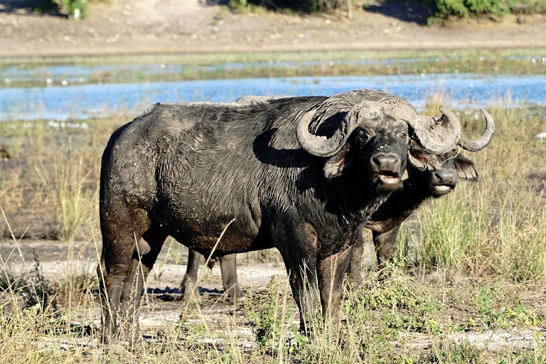 MIKUMI NATIONALPARK TAGESTOUR AB SANSIBAR