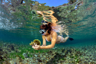 Snorkeling a Milazzo