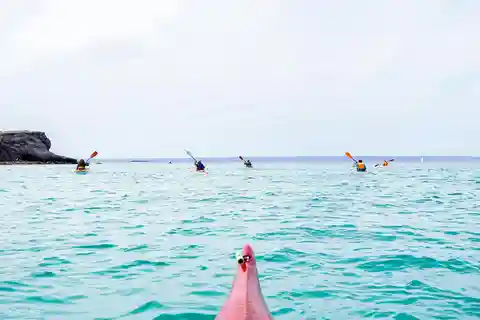 Sea Kayak Tour - Marine Safari