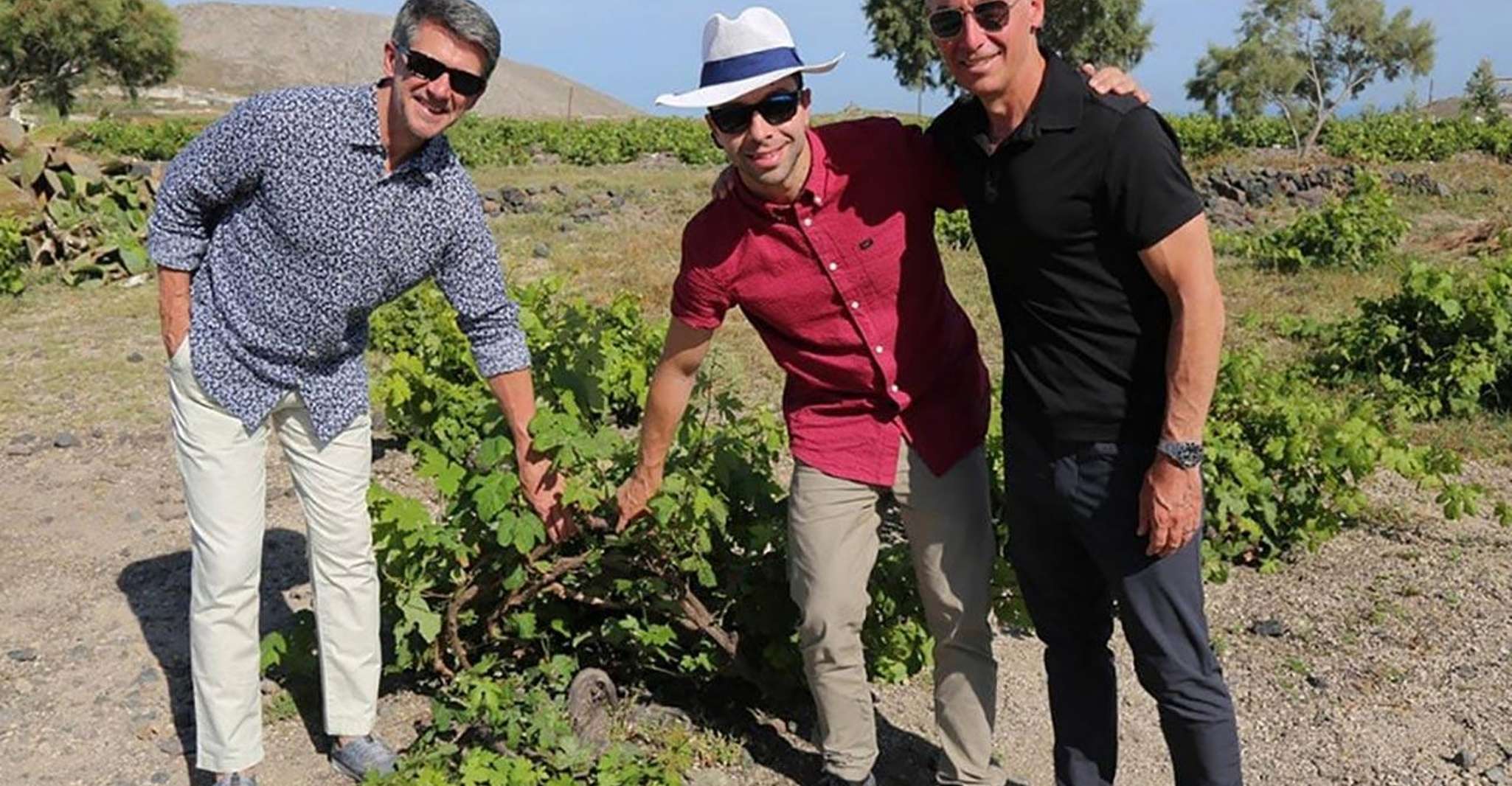 Santorini, 5-Hour Private Wine Tour - Housity