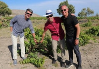 Santorini, Tour privado de vinos de 5 horas - Housity