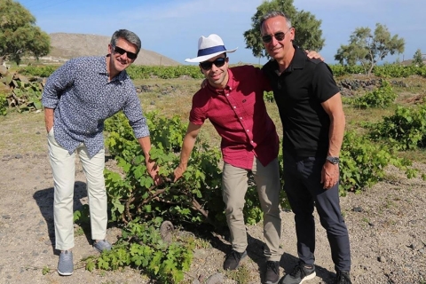 Santoryn: półdniowa wycieczka połączona z degustacją winaPopołudniowa wycieczka prywatna