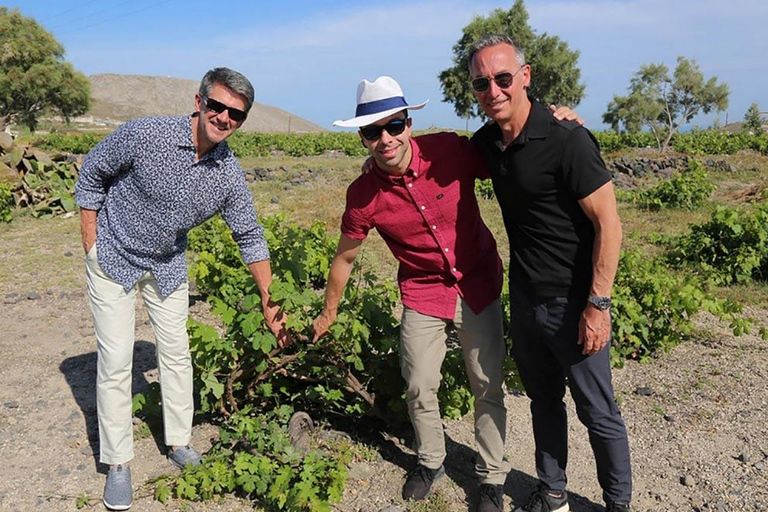 Santorini Half-Day Wine Adventure Tour Afternoon Private Tour