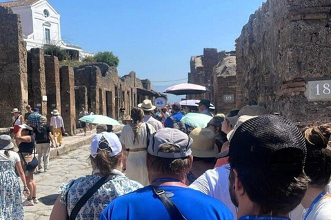 Pompeii en Sorrento Privé met gids en transfer