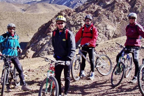 Descente en VTT à Arequipa