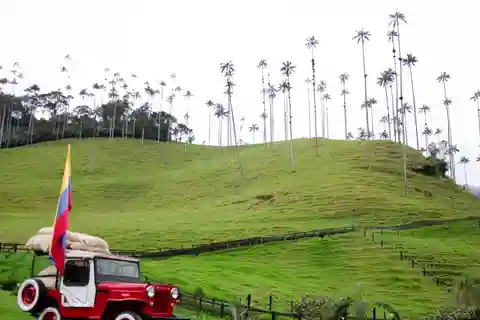 PEREIRA/ARMENIA: FULLDAY TRASLADO SALENTO+ FILANDIA + VALLE COCORA