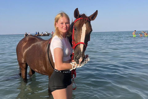 Hurghada: 1 HR Red Sea Swimming with Horses with Transfers Exclusive Family Package – 1 HR with Swimming & Transfers