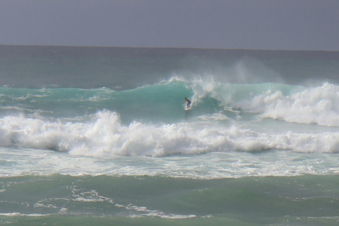 Oahu: Circle Island Tour on a full day or two half days NORTH LOOP - Half-Day: North Shore and Island Flavors.