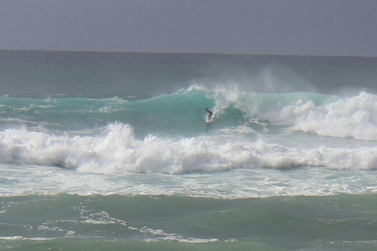 Oahu: Circle Island Tour on a full day or two half days NORTH LOOP - Half-Day: North Shore and Island Flavors.