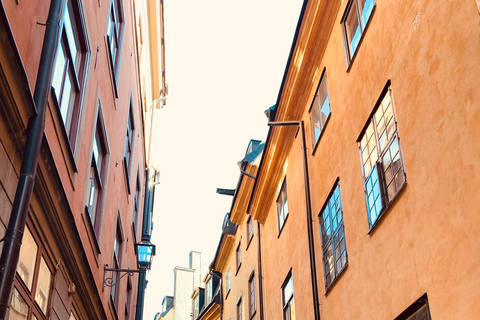 Stockholm's Best Bike Tour! (English or German) Bike Tour German