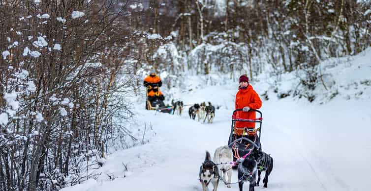 Aventure en traîneau à chiens dans la vallée de Tamok
