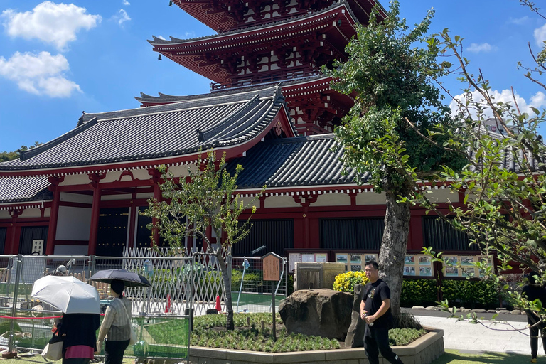 Tokyo City Highlights Tour With English Speaking Driver