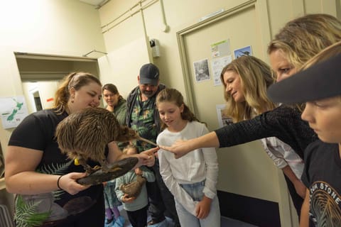 Franz Josef: Kiwi VIP Backstage Pass Tour - Booking Essential - Image 2