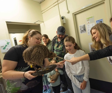 Franz Josef: Kiwi VIP Backstage Pass Tour