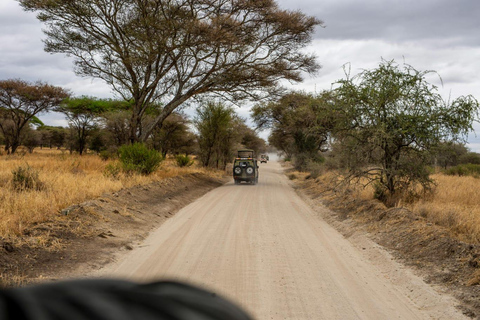 4-Days Masai Mara Safari From Nairobi With Park Fees