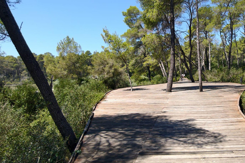 Durres/Golem: Lagoon Sunset 4x4 Tour & Wine Tasting