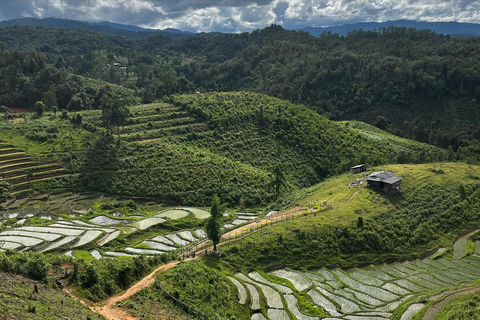 Chiang Mai: 2-dagars djungelvandring med elefantfarm och forsränning