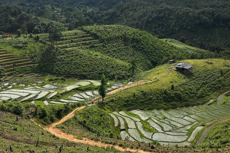 Chiang Mai: 2-Day Jungle Trek with Elephant Farm &amp; Raft Ride