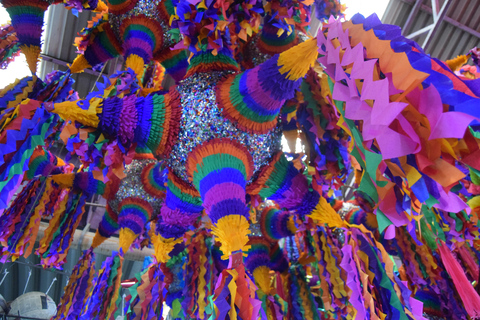 Mexico : Visite guidée du marché aux fleurs de la Jamaïque avec déjeuner