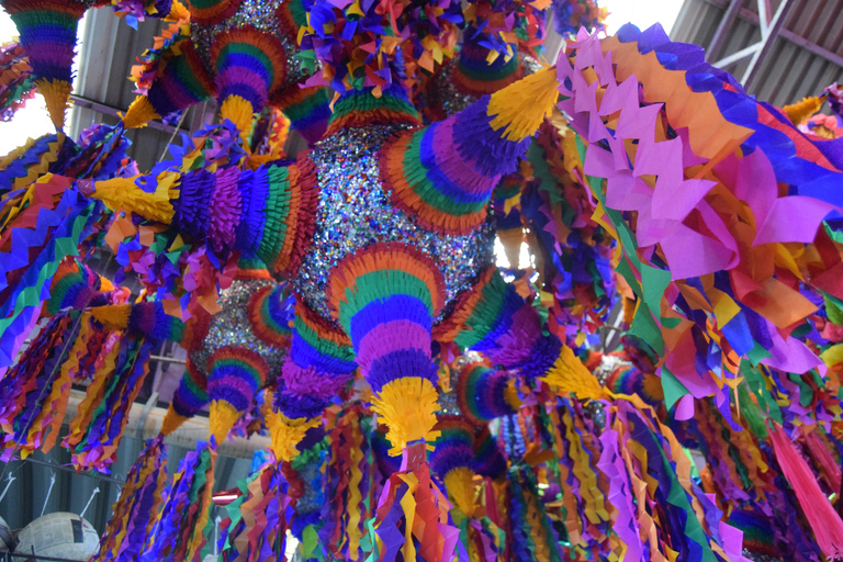 Mexico : Visite guidée du marché aux fleurs de la Jamaïque avec déjeuner