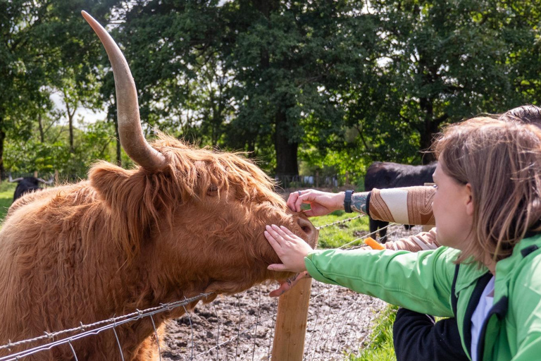 Edinburgh: Pitlochry Highland Wildlife and Doune Castle tour