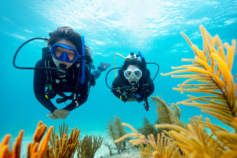 Scuba dive in Eilat, Israel