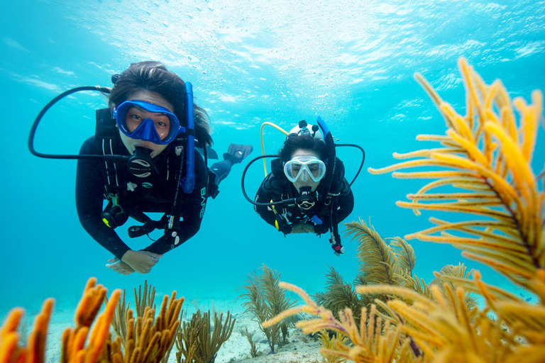 Scuba dive in Eilat, Israel