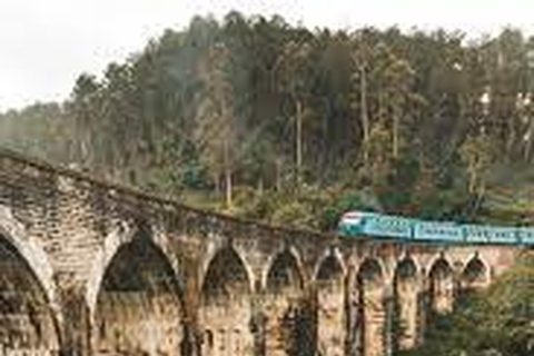 Explora el encanto de Ella : Traslado en Tuk Tuk al Puente de los Nueve Arcos