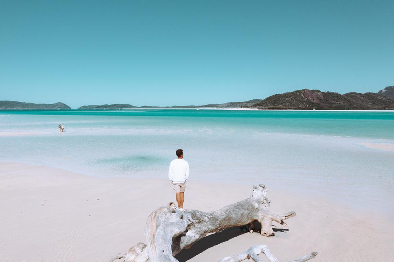 From Daydream: Whitsundays and Whitehaven Half-Day Cruise Afternoon Cruise