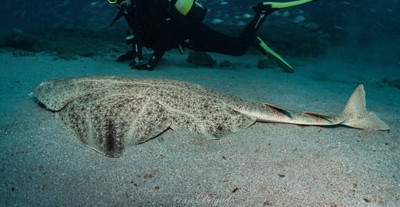 Lanzarote: SSI Open Water Diver Kurs