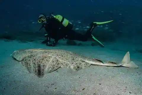 Lanzarote: SSI Open Water Diver Course