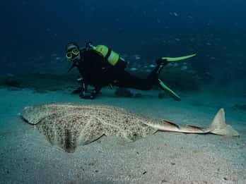 Lanzarote: Kurs SSI Open Water Diver