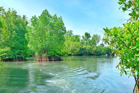 Galle: Koggala River Boat Safari with Monkeys Birds & Nature