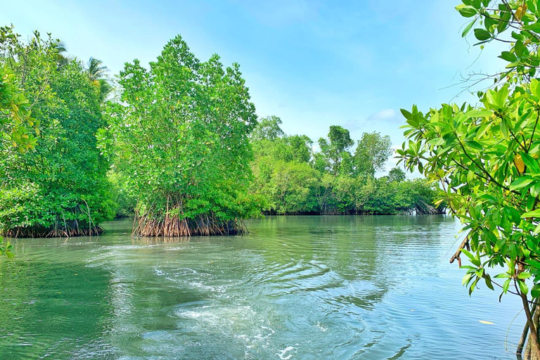 Galle: Koggala River Boat Safari with Monkeys Birds & Nature