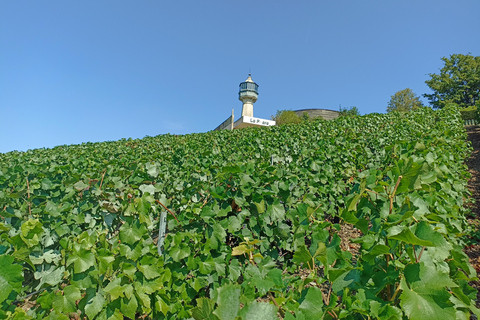 من باريس كاتدرائية ريمس وقبو الشمبانيا وتذوق الشمبانيا