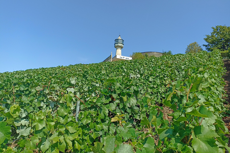 من باريس كاتدرائية ريمس وقبو الشمبانيا وتذوق الشمبانيا