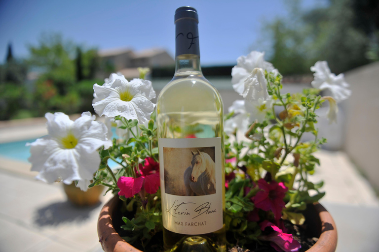 Mas Farchat: Wine tasting and tapas in the heart of nature Mas Farchat: Wine tasting with the winemakers