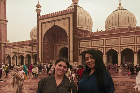 Delhi: Private Half Day Delhi City Guided Tour By Car Half Day Delhi Tour with Meeting Point
