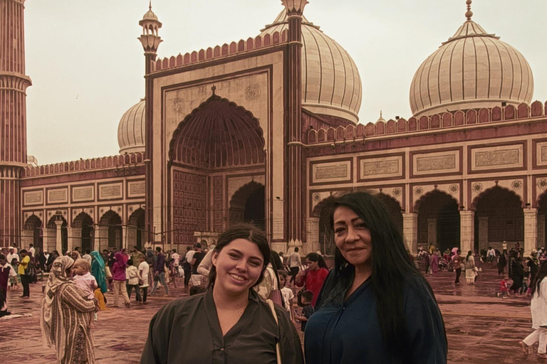 Delhi: Private Half Day Delhi City Guided Tour By Car Half Day Delhi Tour with Meeting Point