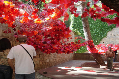 Barcelona: Day trip to Girona Flowers Festival & Besalu