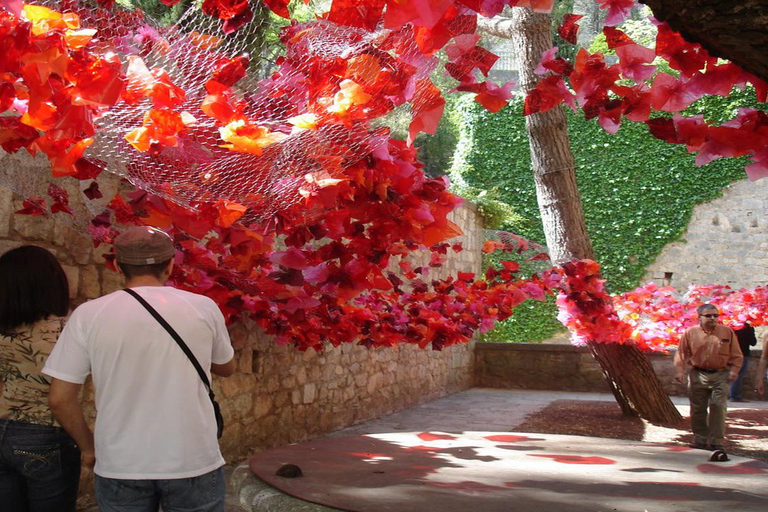 Barcelona: Day trip to Girona Flowers Festival & Besalu