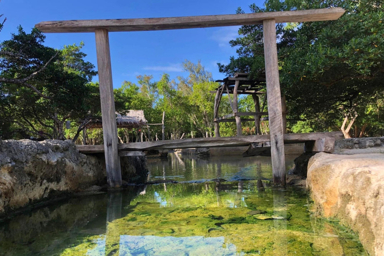Vanuatu: Island Tour with Snorkelling, Hot Springs & Kayak