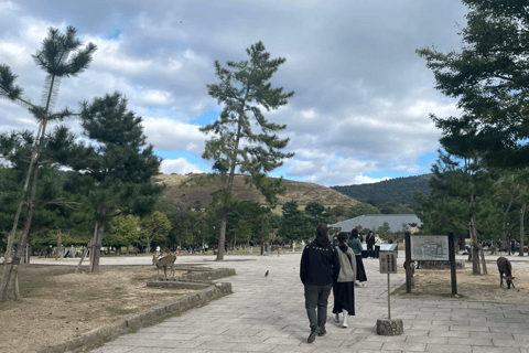 Private tour of Nara with an English/Spanish-speaking Guide