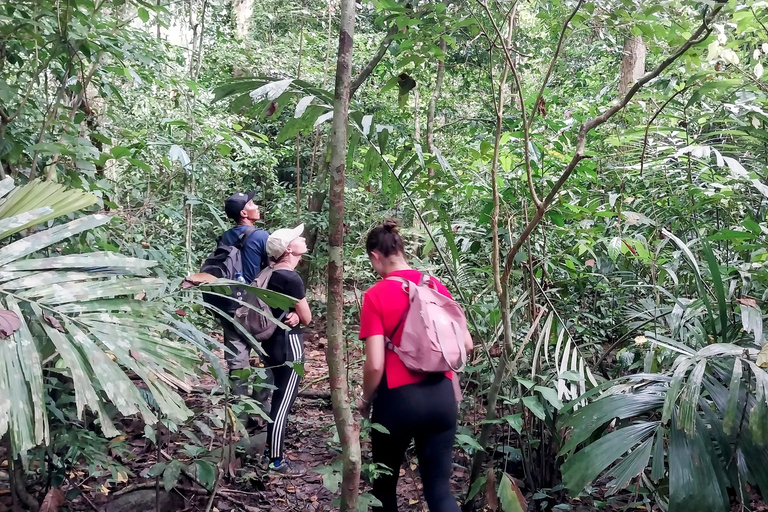 Ujung Kulon National Park: Eco Jungle Treks w/Green Anda's